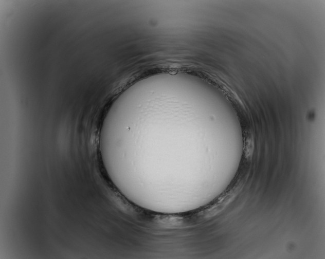 X0000103430476200809121041