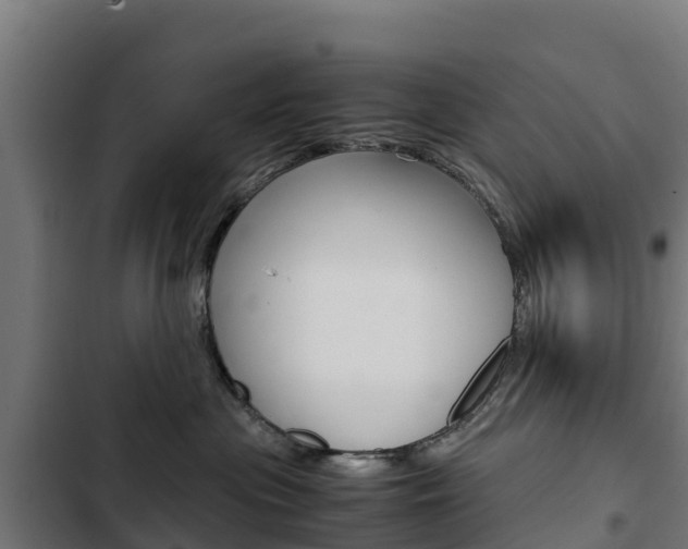 X0000103430477200809121041
