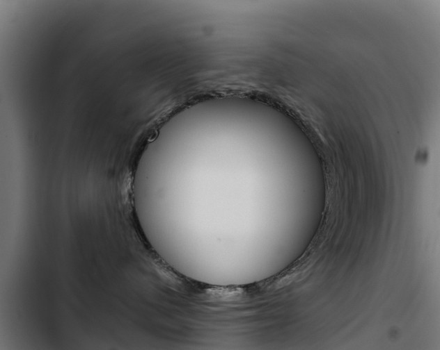 X0000103430480200809121041