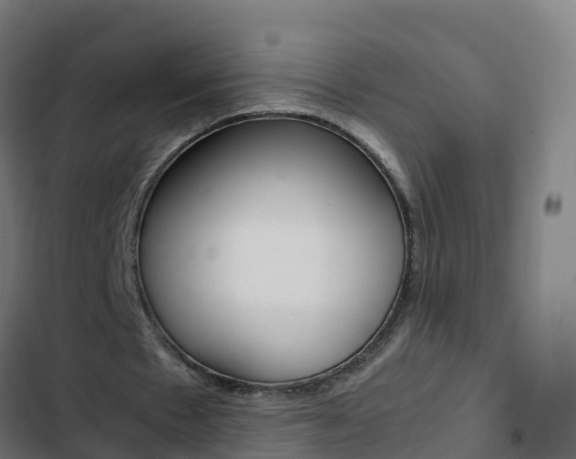 X0000103430481200809121041