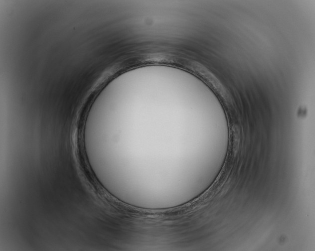 X0000103430482200809121041