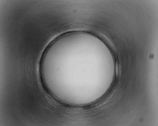 X0000103430483200809121041