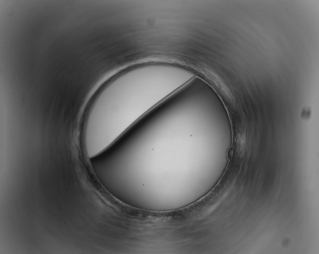 X0000103430484200809121041