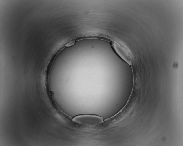 X0000103430485200809121041