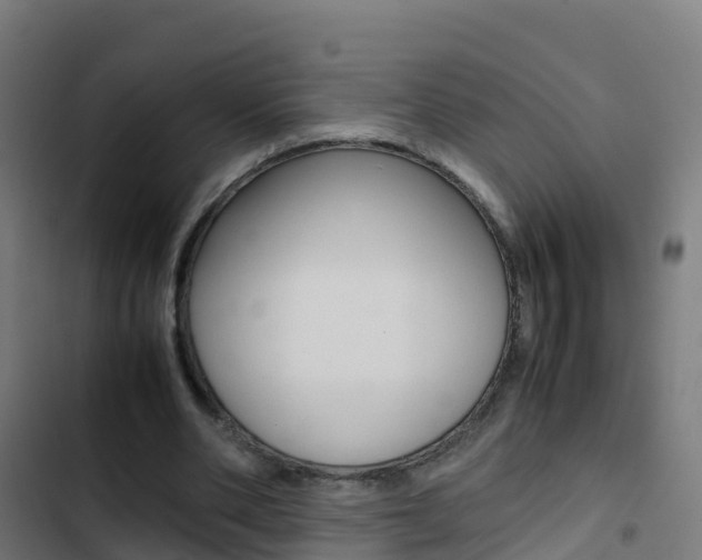 X0000103430486200809121041
