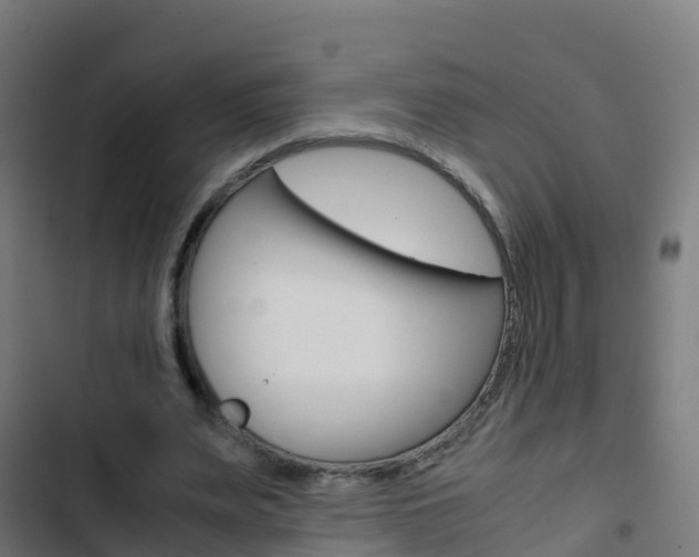 X0000103430487200809121040