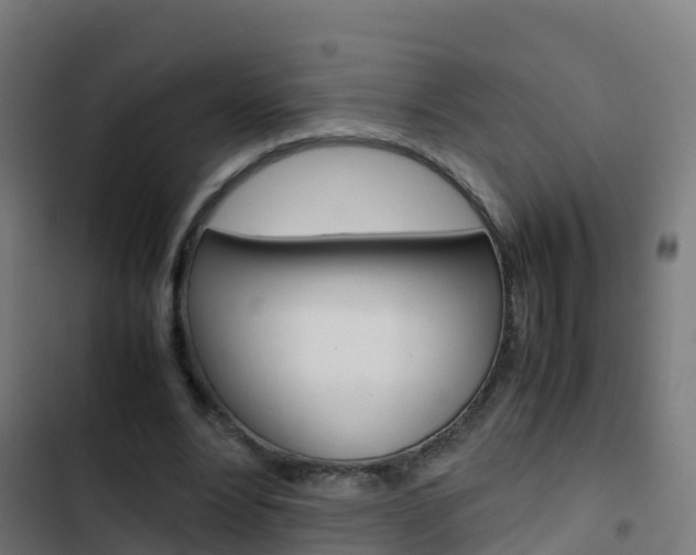 X0000103430488200809121040