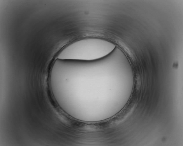 X0000103430490200809121040