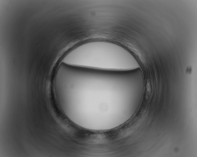 X0000103430492200809121040