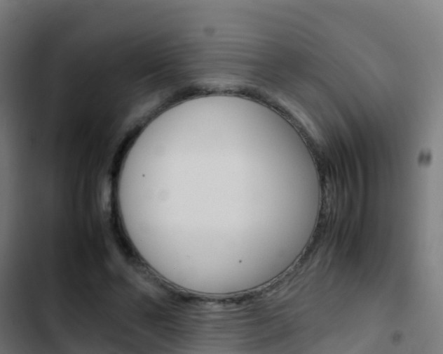 X0000103430494200809121040