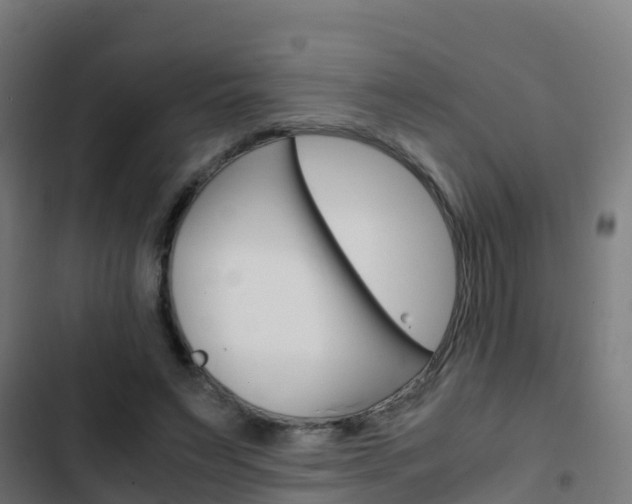 X0000103430495200809121040