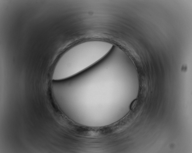 X0000103430496200809121040