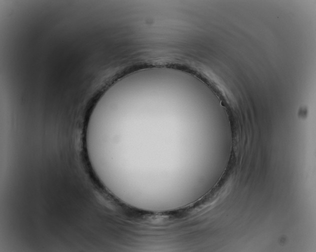 X0000103430497200809121040
