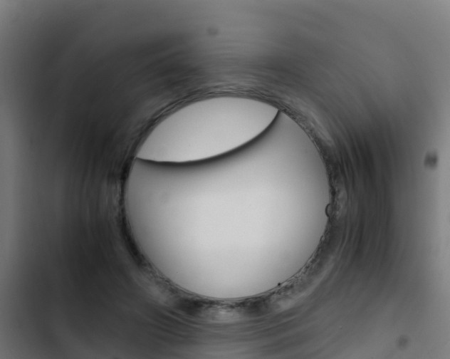 X0000103430498200809121040