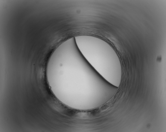 X0000103430499200809121040