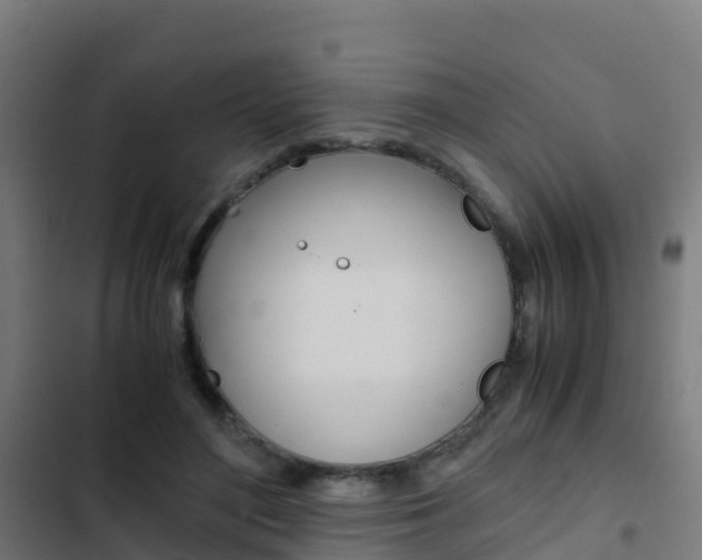 X0000103430500200809121040