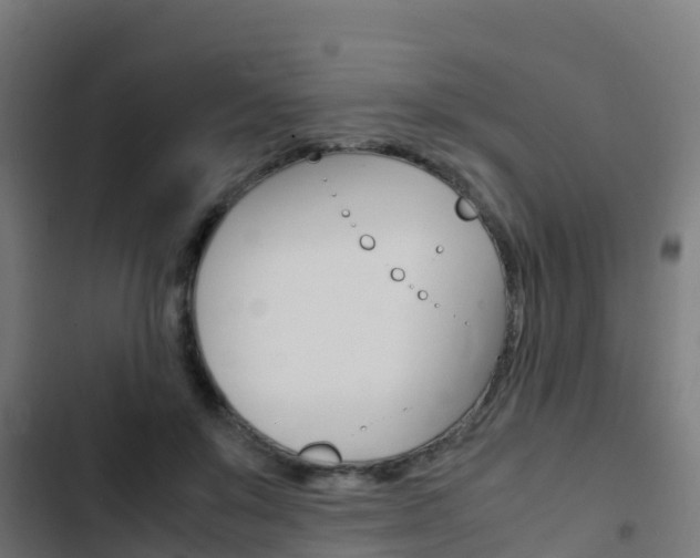 X0000103430503200809121040