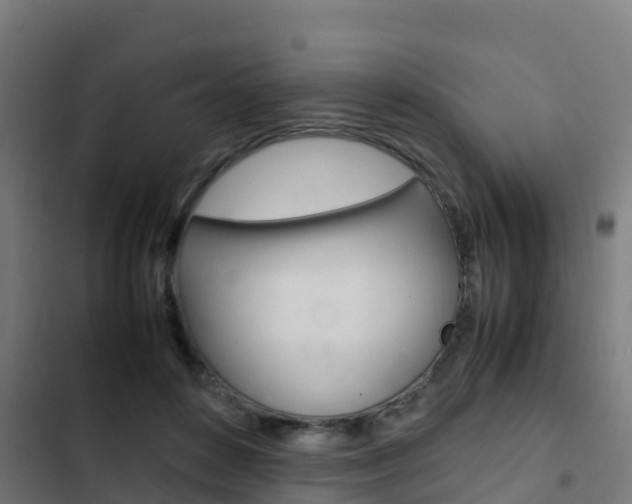 X0000103430504200809121040