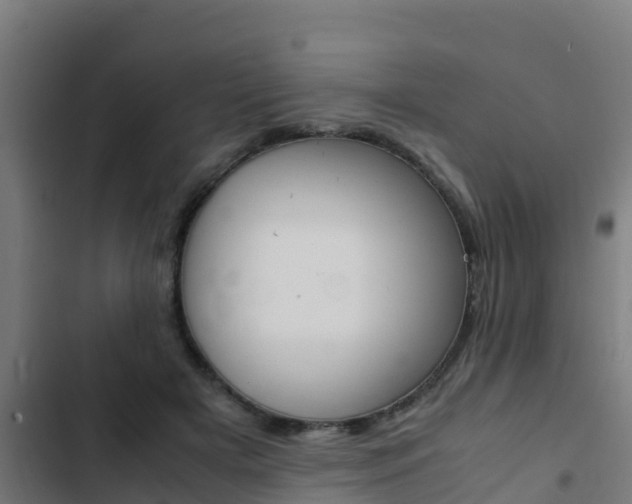 X0000103430505200809121040