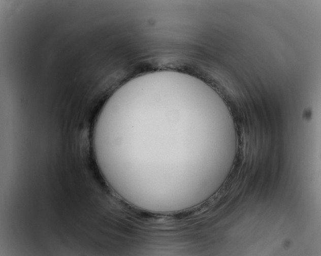 X0000103430506200809121040