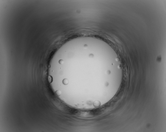X0000103430507200809121040