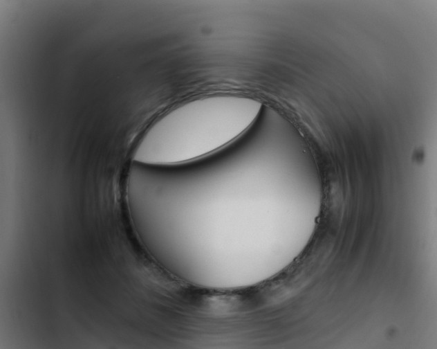 X0000103430508200809121040