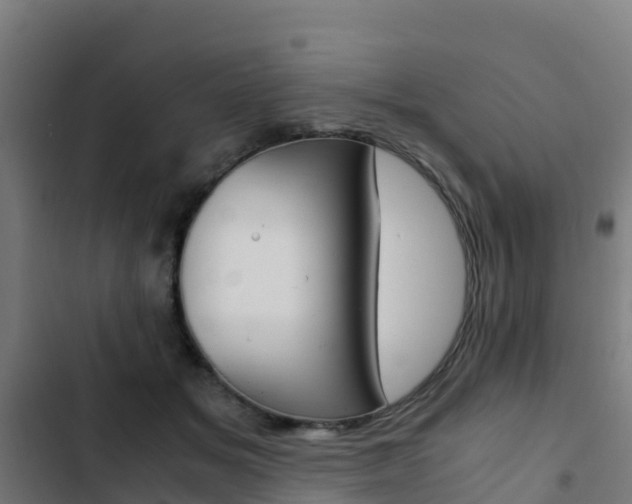 X0000103430509200809121040