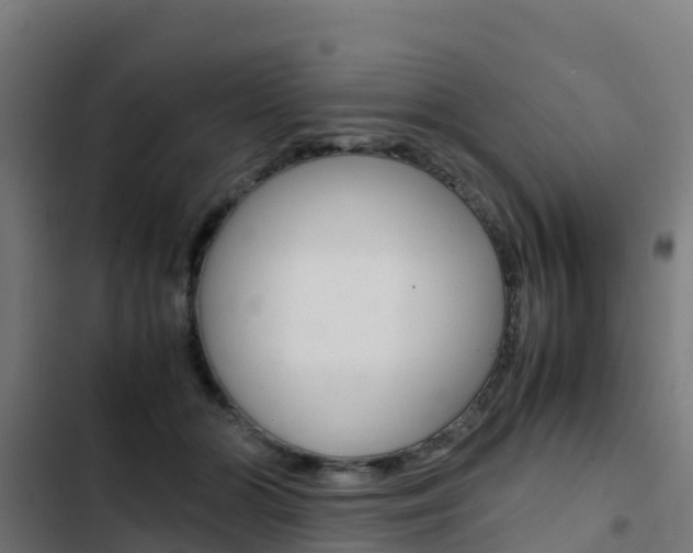 X0000103430510200809121040