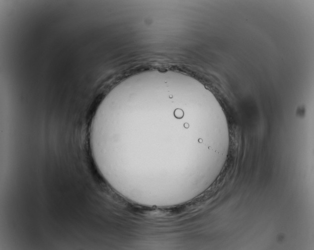 X0000103430511200809121040