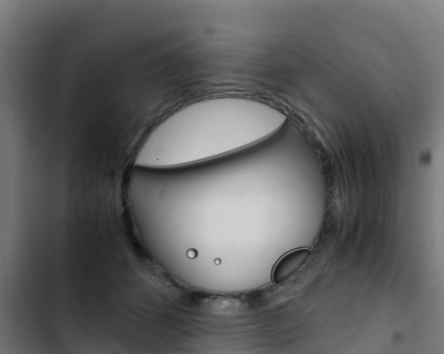 X0000103430512200809121040