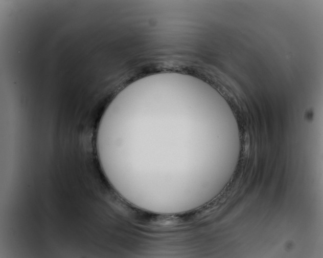 X0000103430514200809121040