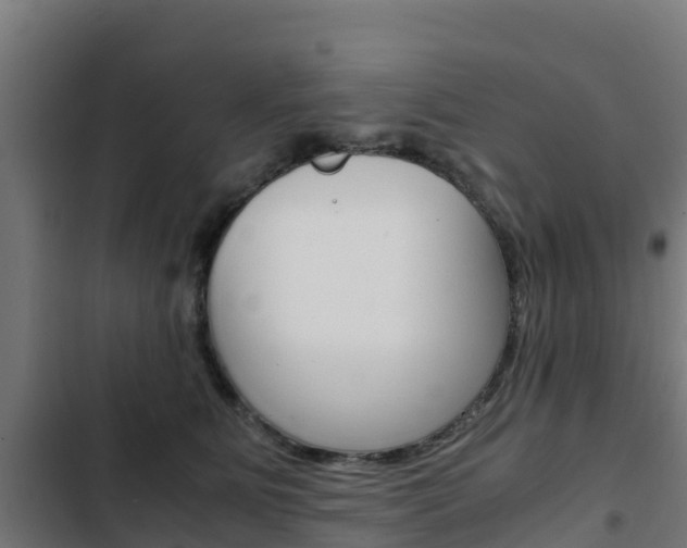 X0000103430515200809121040