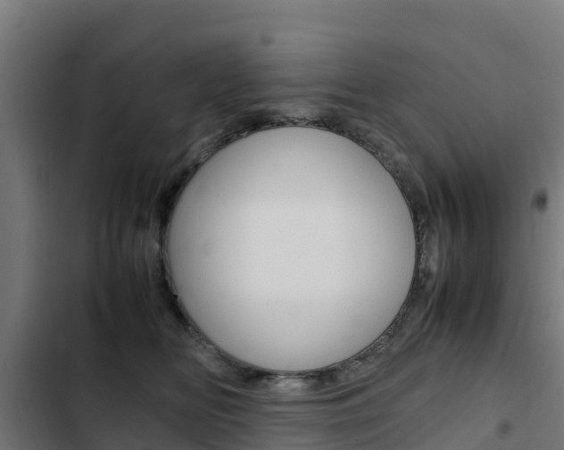 X0000103430518200809121040