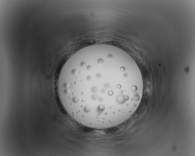 X0000103430519200809121040
