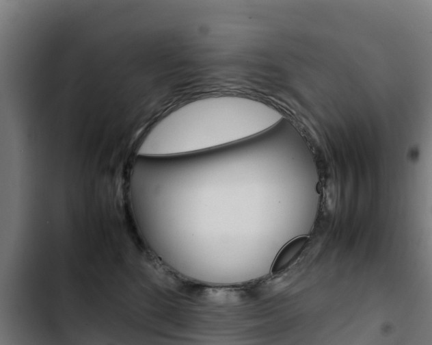 X0000103430520200809121040