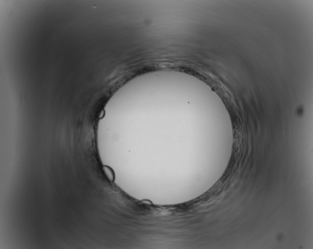 X0000103430523200809121040