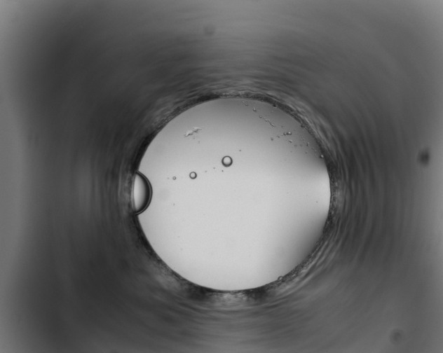 X0000103430525200809121040