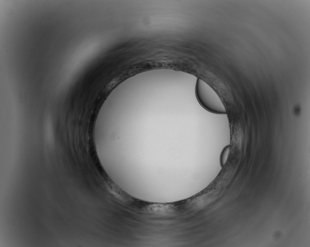 X0000103430526200809121040