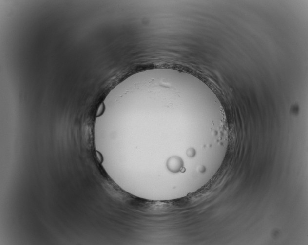 X0000103430527200809121040