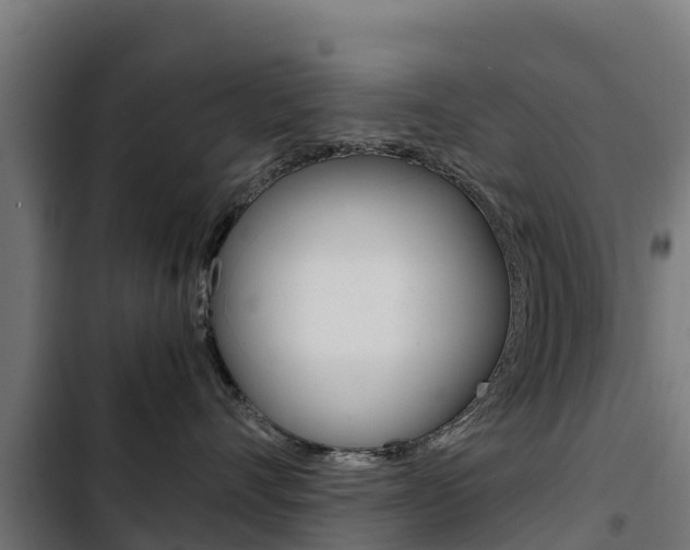 X0000103430528200809121040