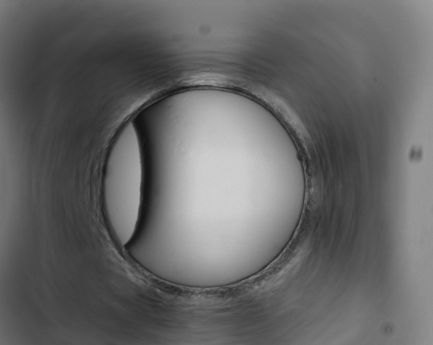 X0000103430529200809121039