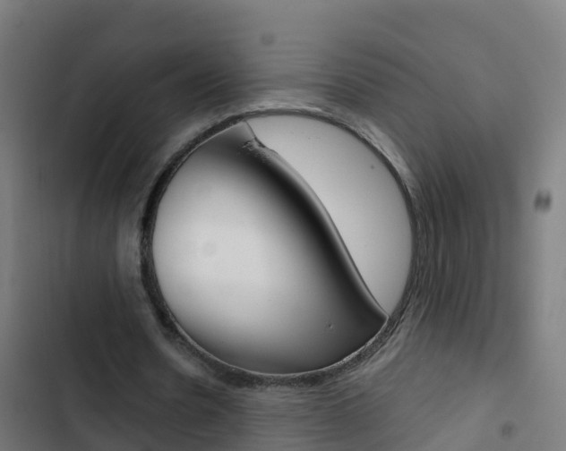 X0000103430530200809121039