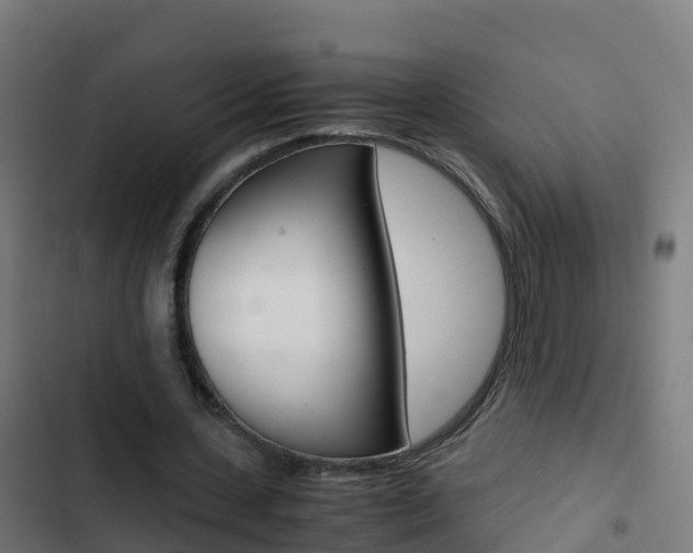 X0000103430531200809121039