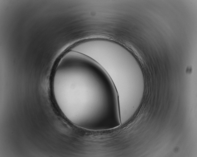 X0000103430532200809121039