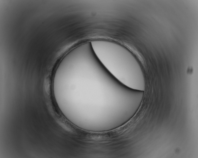 X0000103430533200809121039