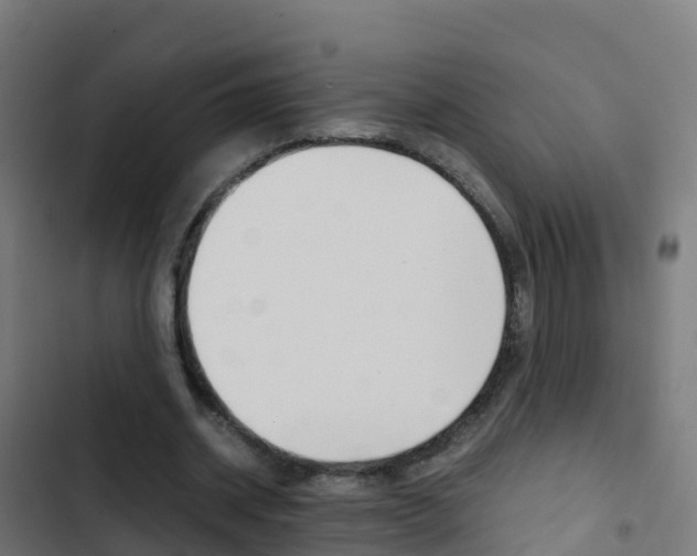 X0000103430534200809121039