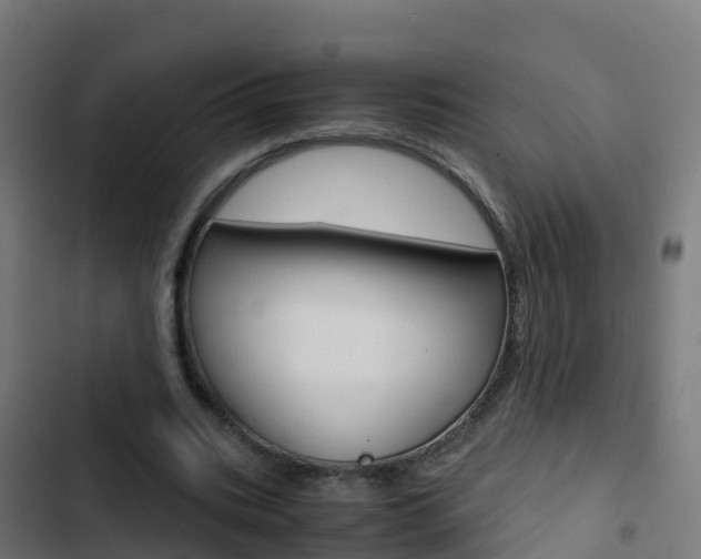 X0000103430535200809121039