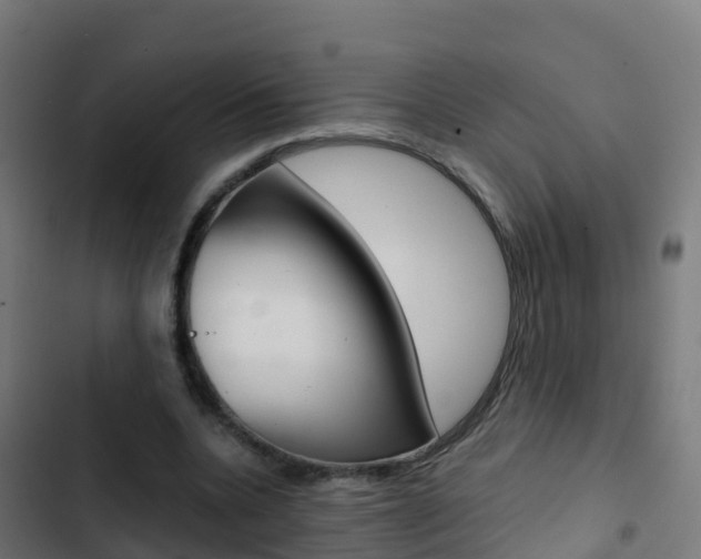 X0000103430536200809121039