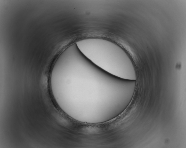 X0000103430537200809121039