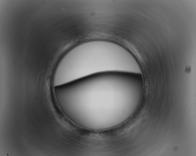 X0000103430538200809121039
